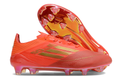 F50 laced #8